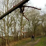 In Hafennaehe Dierhagen