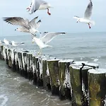 In Hafennaehe Pansiyon *