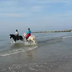 Pansiyon In Hafennaehe