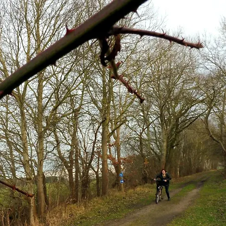 In Hafennaehe Dierhagen