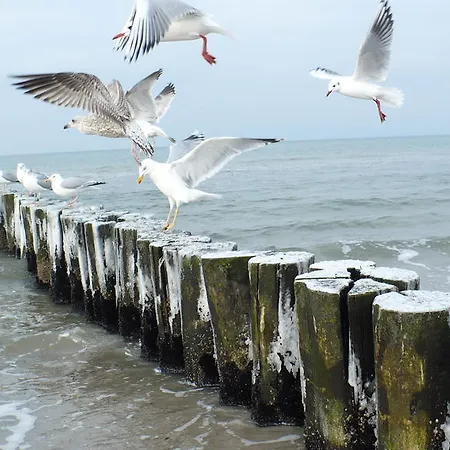 In Hafennaehe Pansiyon *