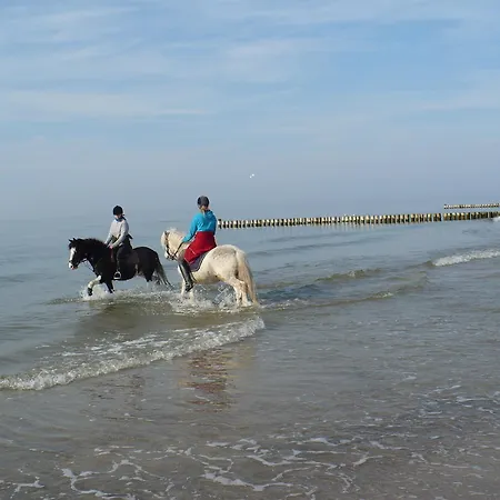 Pansiyon In Hafennaehe